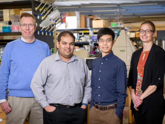 The Illinois and Colorado team includes UIUC biochemistry professors Beth Stadtmueller and Nicholas Wu; chemistry professors Wilfred van der Donk and Angad Mehta; and Jenna Guthmiller, assistant professor of immunology and microbiology at the University of Colorado Anschutz Medical Campus.